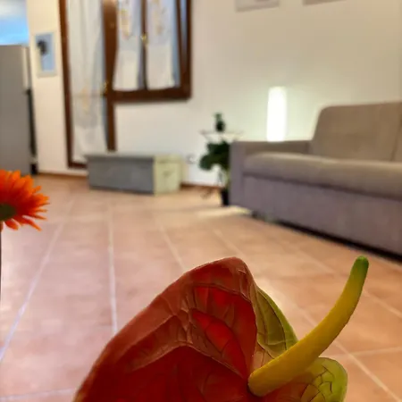 Pm 120 Str. Vicinale Salondra