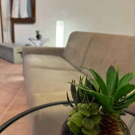 Apartment Pm 120 Str. Vicinale Salondra